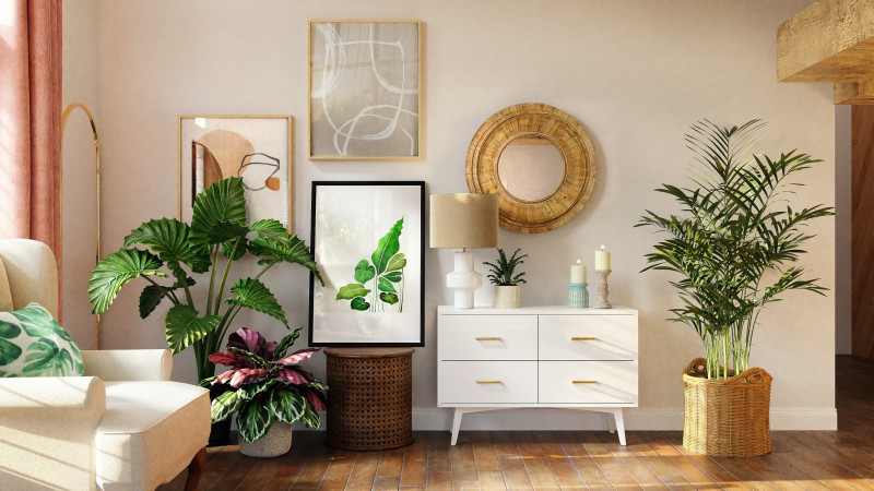 Just one plant can change the appearance of a whole room, giving it a fresh and colourful boost